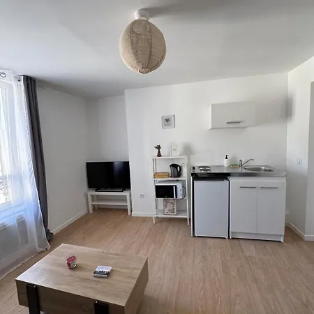 Appartement Le Pique - Neuf Et Equipe Centre